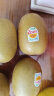 佳沛（zespri）新西兰 金果25-27粒原箱猕猴桃单果122-146g 端午节水果礼盒 实拍图