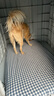 ZEAL狗狗罐头170g鸡肉口味主食罐成犬幼犬通用狗湿粮新西兰进口 实拍图