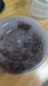 三只松鼠山核桃仁100g/罐 每日坚果炒货休闲零食品免剥果仁罐装 实拍图