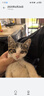 皇家猫粮 BK34猫奶糕全价粮1-4月龄K36幼猫猫粮怀孕及哺乳期母猫 BK34猫奶糕（1-4月）400g 实拍图
