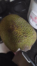 越南菠萝蜜正宗进口鲜果香甜可口果王稀缺脆甜带皮出果肉40%左右 整果6斤-8斤 实拍图