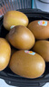 佳沛（zespri）新西兰 阳光金奇异果12粒礼盒特大果单果约122-146g 猕猴桃 水果 实拍图