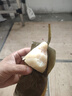 五芳斋 速冻蜜枣粽 100g*5只 嘉兴粽子甜粽端午粽子早餐食品 实拍图