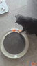 小佩喵星游乐场猫抓板磨爪器猫窝瓦楞纸猫爪板磨爪猫咪用品 实拍图