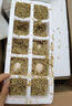 京喜加土鸡蛋 新鲜鸡蛋 山林自养鸡蛋40g正负5g早餐买菜溏心蛋京东包邮 鲜鸡蛋10枚 实拍图