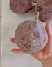 甜菜根新鲜现挖5斤甜菜头紫菜头红甜菜可榨汁农产品红菜头萝卜头 甜菜根5斤大果3-6个 实拍图