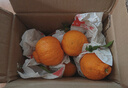 生活＆好管家四川丑橘不知火特大果新鲜水果桔橘子丑柑丑八怪整箱 4.5-5斤【超划算】净重4.5斤 果径65-70mm【小果】 实拍图