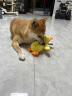 华元宠具（hoopet）狗狗玩具发声自嗨解闷毛绒玩偶黄鸭小狗磨牙神器耐咬逗狗宠物用品 实拍图