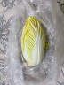 三宝白菜（大娃娃菜）约650g 实拍图