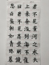 【全网低价】荣宝斋 米字格宣纸 半生熟书法专用练习作品 文房四宝初学毛笔字 半生熟-7.5cm*32格/100张 实拍图