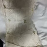 浪莎内衣女小胸聚拢文胸显大无钢圈收副乳调整型上托胸罩 浅绿色36CD 实拍图