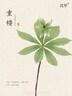 kocotreekk树儿童防晒帽大帽檐护颈披风帽夏户外海边太阳帽宝宝遮阳帽薄款 实拍图