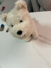 babycare&bctoys儿童毛绒玩具狗电子哈基米宠物玩偶节日生日礼物西高地犬 实拍图