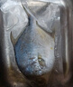 环球水产冷冻南海金鲳鱼2斤/2条 生鲜鱼类 火锅 深海鱼 海鲜水产 家庭聚餐 实拍图