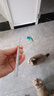 【京东快递】仙女逗猫棒猫咪玩具带铃铛逗猫神器耐咬羽毛逗猫棒 羽毛蓝色款1支 实拍图