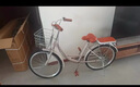 飞鸽 成人自行车女士轻便上班代步复古款通勤单车大学生女式单车 【大芭蕾】单速/暖灰色/高配礼包 24英寸|密封中轴身高145-165cm 实拍图