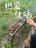 尚烤佳（Suncojia） 户外烧烤架 木碳烧烤炉 家用木炭烤炉 便携可折叠碳烤架 烤肉架 实拍图