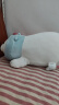 名创优品（MINISO）白熊趴姿公仔毛绒玩具抱枕靠垫卧室办公室午睡枕生日礼物 升级版 实拍图