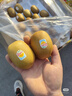 佳沛（zespri）新西兰 新果季 阳光金奇异果33粒原箱单果重约101-114g 猕猴桃 实拍图