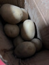 京喜加新鲜黄心土豆农家自种黄皮马铃薯黄心洋芋新鲜蔬菜 2斤 实拍图