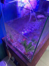 松宝（sobo）鱼缸氧气泵增氧泵水族箱增氧机养鱼打氧机 小型家用充氧泵 双孔4W 实拍图