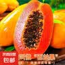 张宝山面条搭档 金奖山药酱200g 辣椒酱拌饭夹馍酱炒饭炒菜配粥调味 实拍图