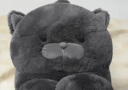 野兽派家居（tbh）懒蓝猫长条抱枕靠垫卧室夹腿办公室抱枕沙发可爱腰枕车载抱枕 实拍图