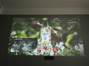哈趣Q1 Max 投影仪家用 家庭影院 真1080P高清 智能便携卧室宿舍投影机 国家补贴（万元电视级芯片） 实拍图