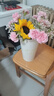 植伴康乃馨百合鲜花生日祝福探望病人母亲节鲜花速递送妈妈全国同城店 R款-11朵康乃馨加1朵向日葵 实拍图