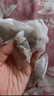 同仁堂玉米须桑叶茶青钱柳叶决明子牛蒡根陈皮泡水喝的养生茶176g 实拍图