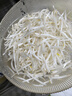绿豆芽350g 实拍图