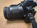 奥林巴斯（OLYMPUS）E-M10 MarkIV EM10四代 微单相机 数码相机 微单套机（14-42mm & 40-150mm）黑 实拍图