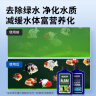 BIOZYM百因美鱼缸除藻剂不伤鱼养鱼净水用品灭绿藻除清苔除绿水 实拍图