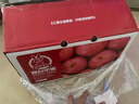 京鲜生 山东栖霞红富士苹果精品12粒 单果190g-240g  生鲜水果 礼盒 实拍图