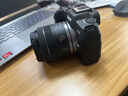 佳能（Canon）EOS R8 全画幅微单数码相机 RF24-50镜头套装（约2420万像素/小型轻量） 实拍图