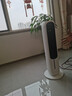 格力（GREE）空调扇冷暖两用冷风扇家用负离子水冷塔扇制冷冷风机卧室客厅办公室移动冷暖风扇小型立式摇头 负离子净化冷暖两用KS-04X71RDg 实拍图