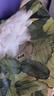 babycare【 100%灭菌】山茶花一次性内裤月子大码日抛出差旅行15条XXL码 实拍图