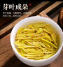 浓香型黄金芽茶叶明前新茶春茶高山绿茶毛峰正宗黄金芽白茶罐装 125克*2罐 实拍图