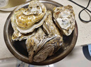 龙味福【活鲜】生蚝 乳山牡蛎 新鲜海蛎子生鲜贝类 【只只精品】XL带箱5斤(25-30只) 实拍图