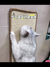 喵仙儿猫抓板剑麻垫耐磨不掉屑防猫爪沙发保护墙贴猫抓垫猫咪用品 40*60 实拍图