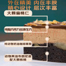 鲜京采生巧核桃布朗尼蛋糕360g 冰淇淋蛋糕巧克力的蛋糕零食 实拍图