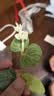 阿宝丽教师节diy手工花束立体贺卡幼儿园感恩礼物儿童创意材料包向日葵 实拍图