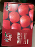 京鲜生 烟台红富士苹果 净重5.2斤/12粒  单果190-240g  水果礼盒 实拍图