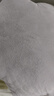 罗莱家纺 空调被子A类可水洗抗菌防螨夏凉被芯 2.8斤 200*230cm 实拍图