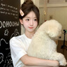 耐威克 拉布拉多专用狗粮狗干粮中大型犬成幼犬狗粮鸡肉味10kg 实拍图