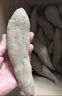 亨泰丰源（HENGTAIFENGYUAN）新鲜红薯 蜜薯鲜挖现发 沙地地瓜 红苕新鲜蔬菜流油地瓜 9斤新鲜蜜薯 实拍图