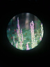 博冠（BOSMA）金虎2代25-75X100单筒高倍高清变倍望远镜 可拉近拉远观鸟镜 实拍图