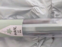 【开学必备】白金（PLATINUM）钢笔三年级礼物小学生入门练字PQ-300小流星彩色马卡龙色升级极细字 02EF蜜瓜绿 实拍图