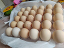 带根香菜100g 实拍图