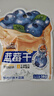 三只松鼠每日蓝莓干256g/16包 无添加水果干果脯小包装儿童老人办公室零食 实拍图